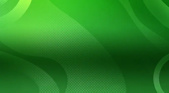 40 Bulky Fruits Buy Bonus